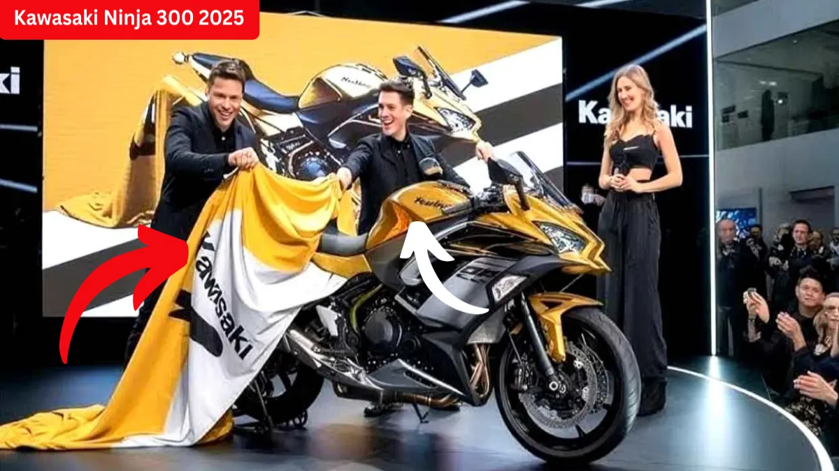 Kawasaki Ninja 300 2025